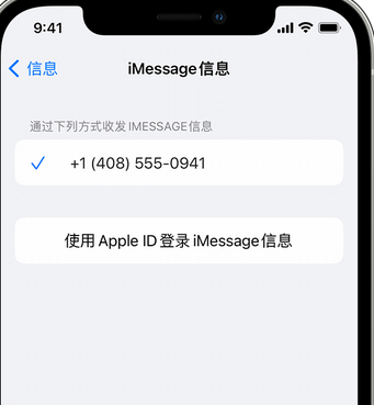 康巴什apple维修iPhone上无法正常发送iMessage信息 