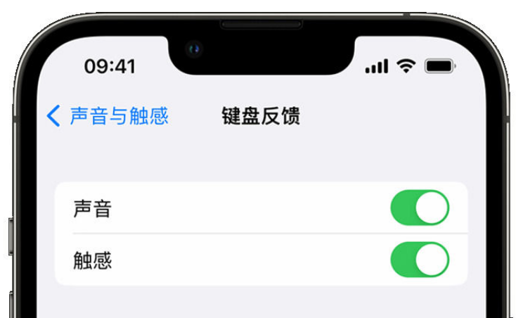 康巴什苹果手机维修分享iPhone 14触感键盘使用方法 