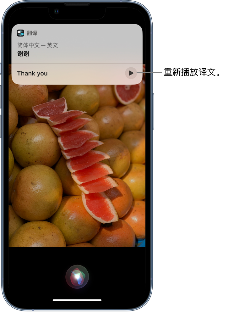 康巴什苹果14维修分享 iPhone 14 机型中使用 Siri：了解 Siri 能帮你做什么 