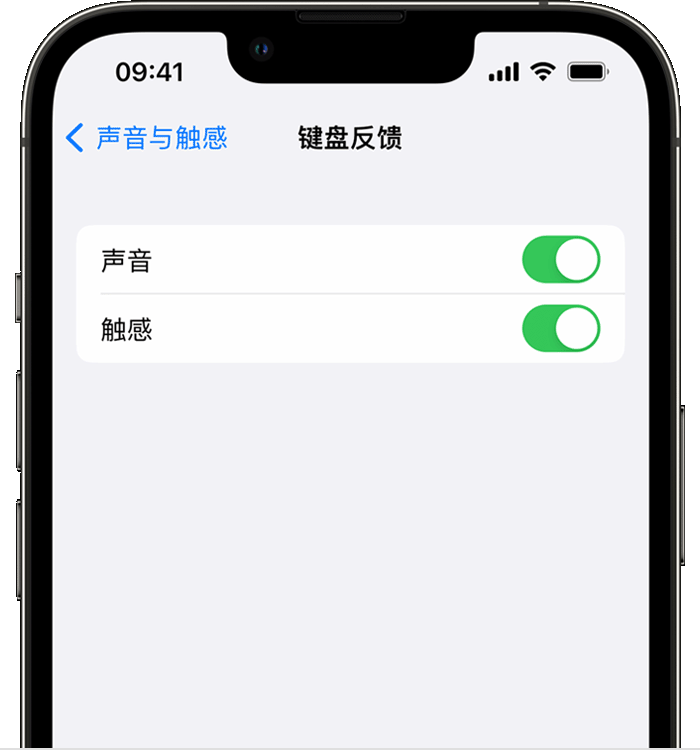 康巴什苹果14维修分享iPhone 14 系列机型如何开启键盘声音或触感反馈 