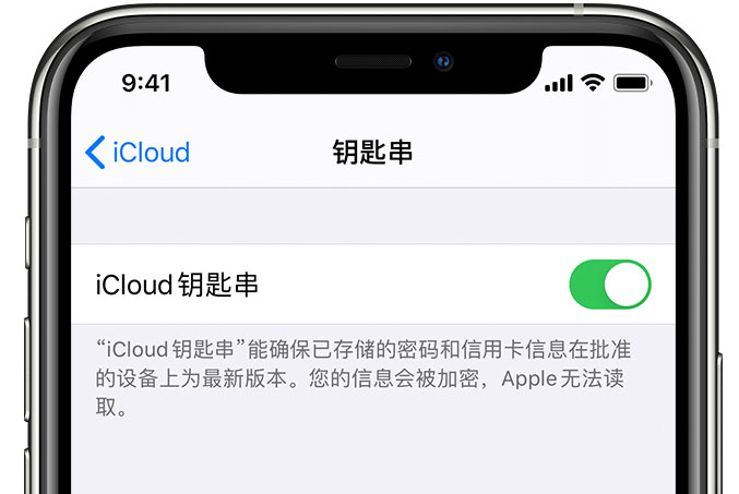 康巴什苹果手机维修分享在 iPhone 上开启 iCloud 钥匙串之后会储存哪些信息 