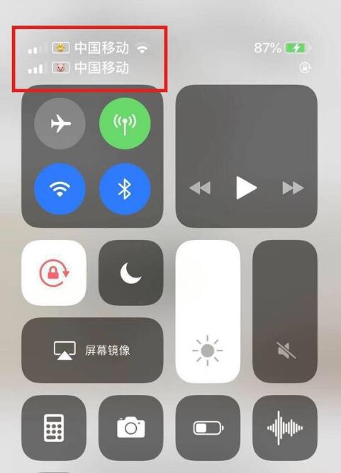 康巴什苹果手机维修分享为 iPhone 12 双卡设置标签 